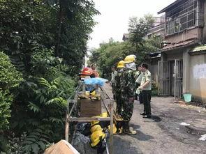 城固县污染爆料案件最新,最新进展与调查进展概述